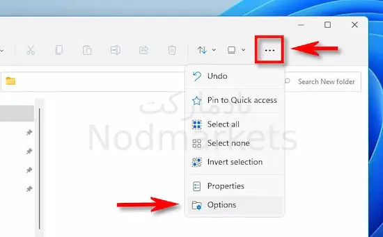 نحوه مشاهده فایل های hidden در ویندوز 11 نحوه مشاهده فایل های hidden در ویندوز 11